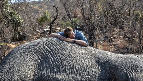 Freeks wilde wereld | Inspectie van een olifant